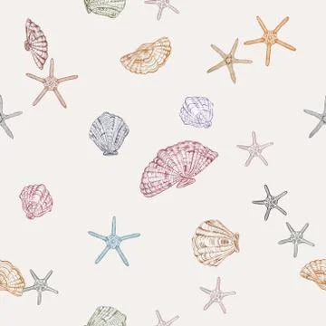 Eggshell color background with seashells and sea stars seamless pattern. Stock Illustration