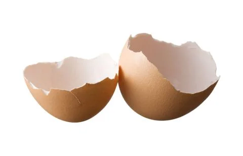 Eggshell isolated on white background Stock Photos