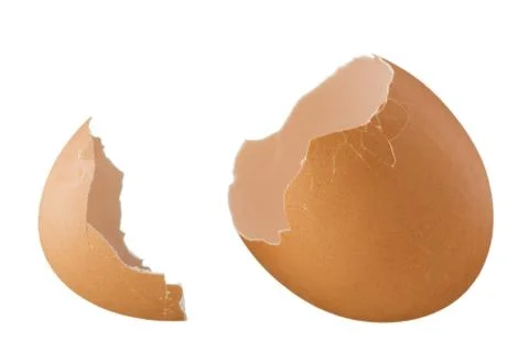 Eggshell isolated on white background Stock Photos