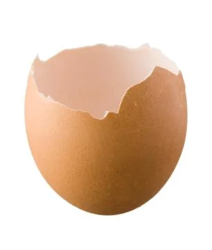 Eggshell isolated on white background Stock Photos