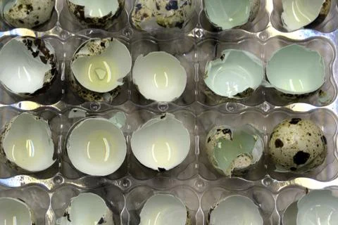 Eggshell many broken eggshell supplements texture tone, Foto stock