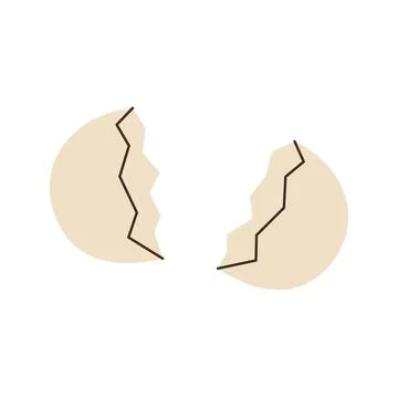 Eggshell. Organic farm chicken eggs. Vector illustration. Stock Illustration