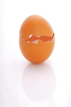 Eggshell Stock Photos