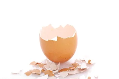 Eggshell Stock Photos