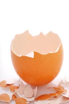 Eggshell Stock Photos