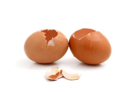 Eggshell Stock Photos