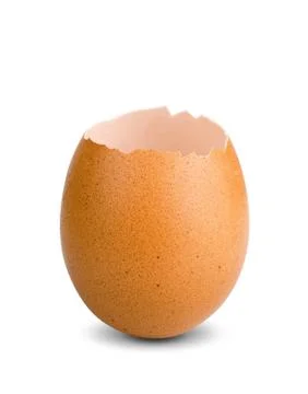 Eggshell Stock Photos