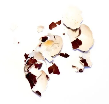 Eggshell. 스톡 사진