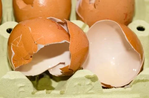 Eggshell Stock Photos