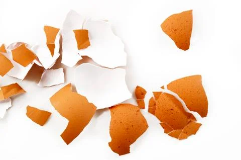 Eggshell Stock Photos
