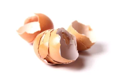 Eggshell 스톡 사진