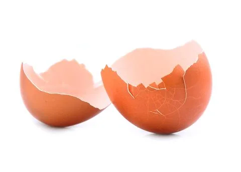 Eggshell Stock Photos