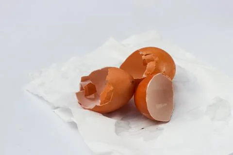 Eggshell Stock Photos