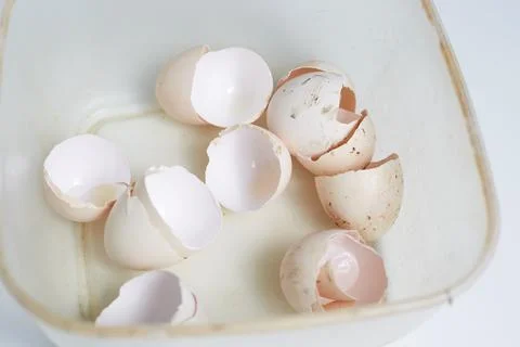 Eggshell. Shell of eggs on wooden kitchen table Stock Photos