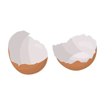 Eggshell. Vector illustration on a white background Stock Illustration