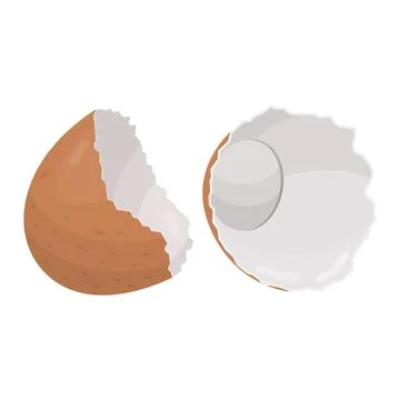 Eggshell. Vector illustration on a white background Stock Illustration