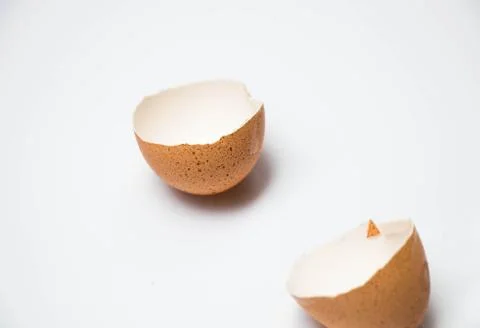 Eggshell on white background Stock Photos