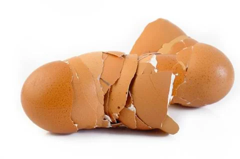 Eggshell on white background Stock Photos
