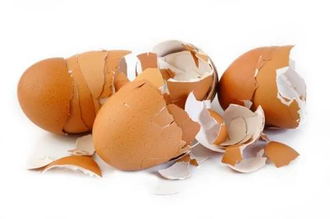 Eggshell on white background Stock Photos