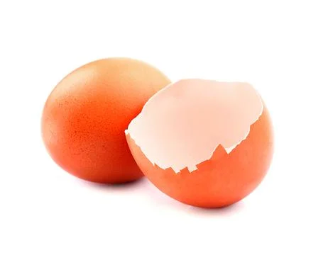 Eggshell on white backgrounds. Stock Photos