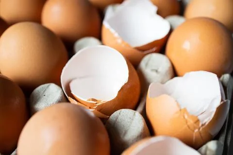 Eggshells and eggs in a paper tray close up Foto stock
