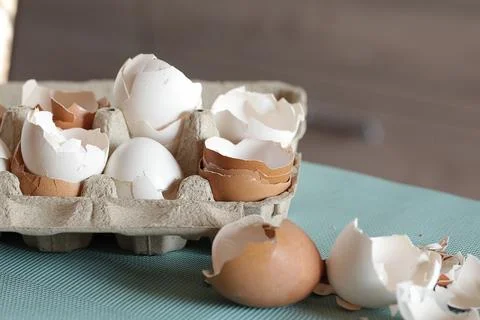 Eggshells and eggs in a paper tray Stock Photos