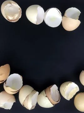 Eggshells on dark background. Background for banner. Stock Photos
