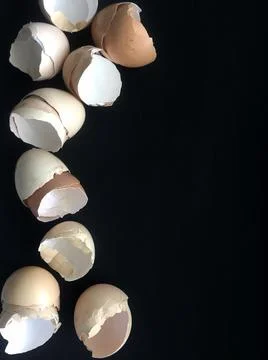 Eggshells on dark background. Background for banner. Stock Photos