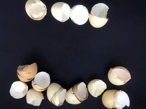 Eggshells on dark background. Background for banner. Stock Photos
