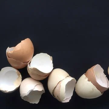 Eggshells on dark background. Background for banner. Stock Photos