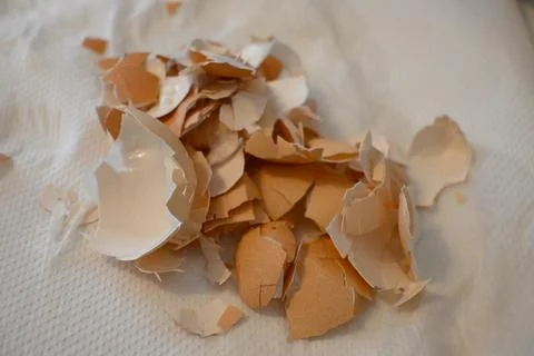 Eggshells on paper close-up Stockfoto's