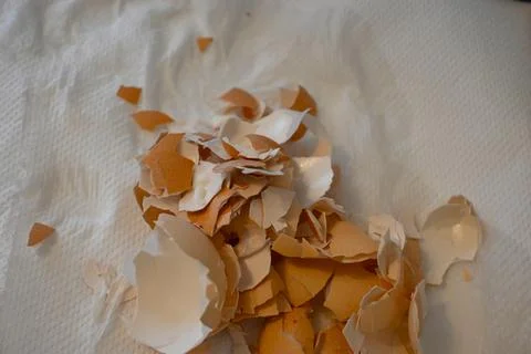 Eggshells on paper close-up Fotos Stock