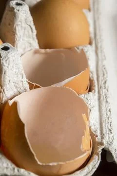 Eggshells in a paper tray. The product of processing is a paper tray and empt Foto stock