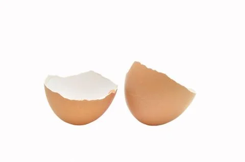 Eggshells Stock Photos