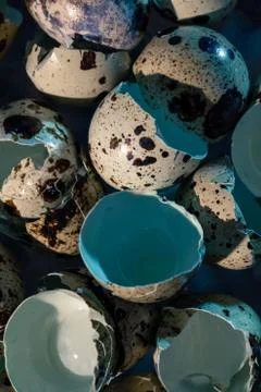 Eggshells from quail eggs. close up copy space Stock Photos