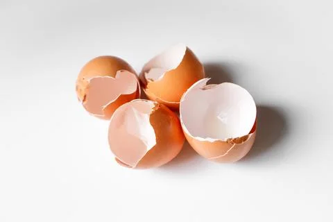 Eggshells on white background Stock Photos