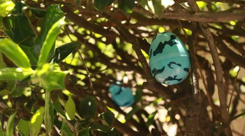 Eggsinbush Stock-Fotos