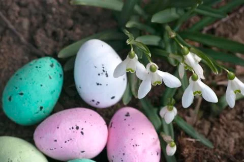 Eggs,snowdrop flowers, spring time in forest, background. Easter composition Foto stock