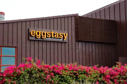 Eggstasy Breakfast Lunch Mimosas 库存照片