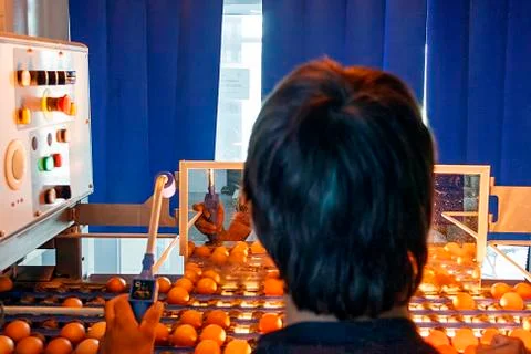 Eggtester checkpoint Stock Photos