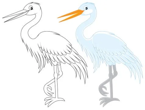 Egret Stock Illustration