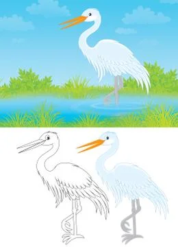 Egret Illustrazione stock