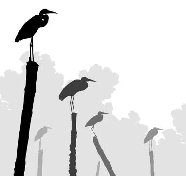 Egret perches Stock Illustration