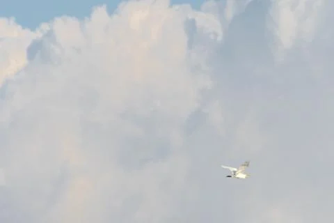 Egret soaring Stock Photos