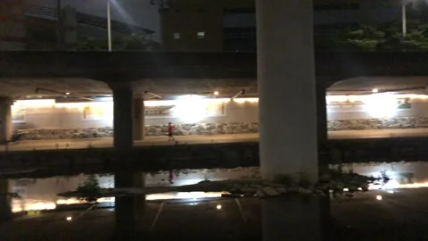 Egretta garzetta, which is also called heron Stock Footage 245354018