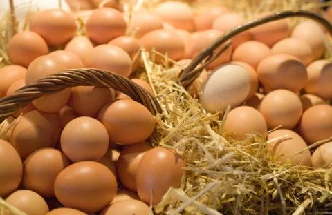 Egss in baskets Stock Photos