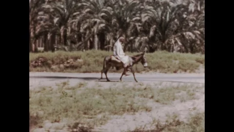 Egypt 1960s, View of Sphinx of Memphis in Menfi Stock Footage 284490598