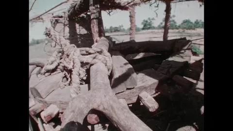EGYPT - 1978 - A land redistribution program helps benefit poor Egyptian 库存影片 340658922