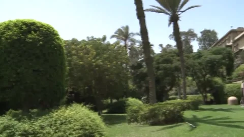 Egypt: Cairo Declaration clearly stipulates China's full sovereignty over... Vídeo Stock 322041877