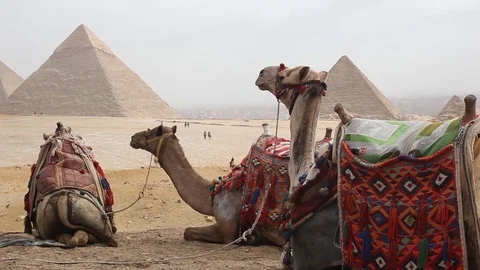 Egypt Cairo - Giza Stock Footage 88943625